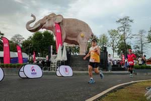 BIB: 
                            <button type="button" onclick="openModal(26528587)" class="btn btn-primary btn-sm float-right btn-popup" data-toggle="modal" data-target=".modal-high-quality">
                        <i class="fas fa-shopping-cart"></i> Add to Cart
                    </button>
                                            <button type="button" onclick="isThisMe(26528587, true)" class="btn btn-success btn-sm float-right btn-popup btn-isme hidden" data-toggle="tooltip" data-placement="bottom" title="นี่คือรูปของคุณใช่ไหม คลิกที่นี่เพื่อเอาเข้าอัลบั้ม">
                        <i class="fas fa-plus"></i> Add to album
                    </button>
                    <button type="button" onclick="isThisMe(26528587, false)" class="btn btn-warning btn-sm float-right btn-popup btn-isnotme hidden">
                        <i class="fas fa-ban"></i> Remove from album
                    </button>